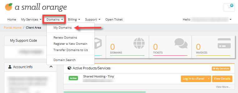 Client Area - My Domains